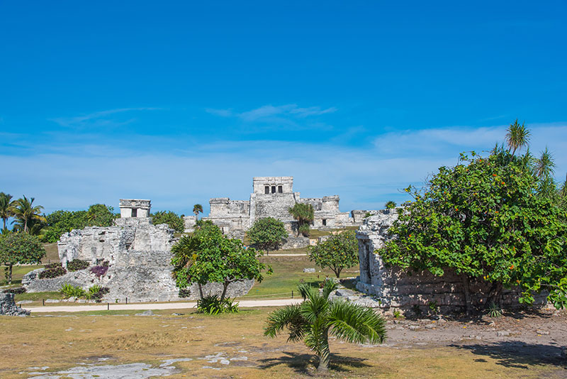 Private Tour Tulum, Cenote y Akumal