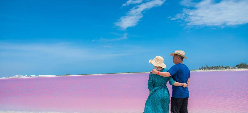 包團 - 中文粉紅湖一日遊 