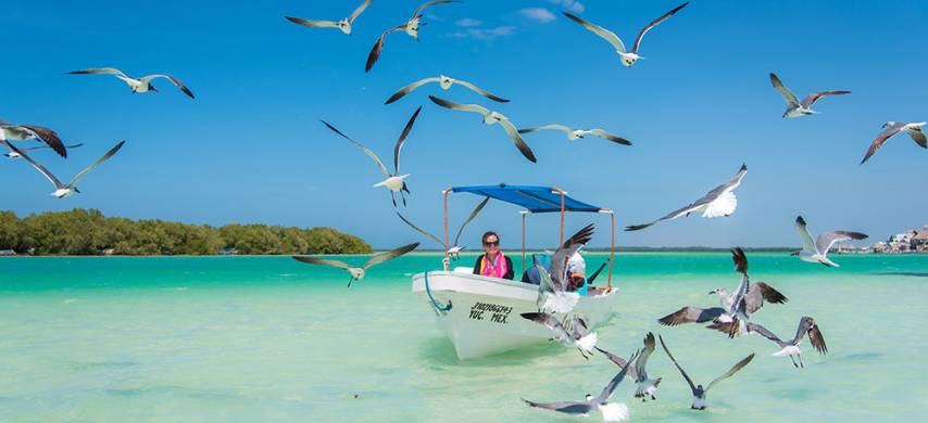 包團 - 中文粉紅湖一日遊 