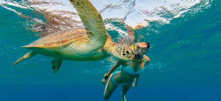 包團 - 中文圖倫一日遊